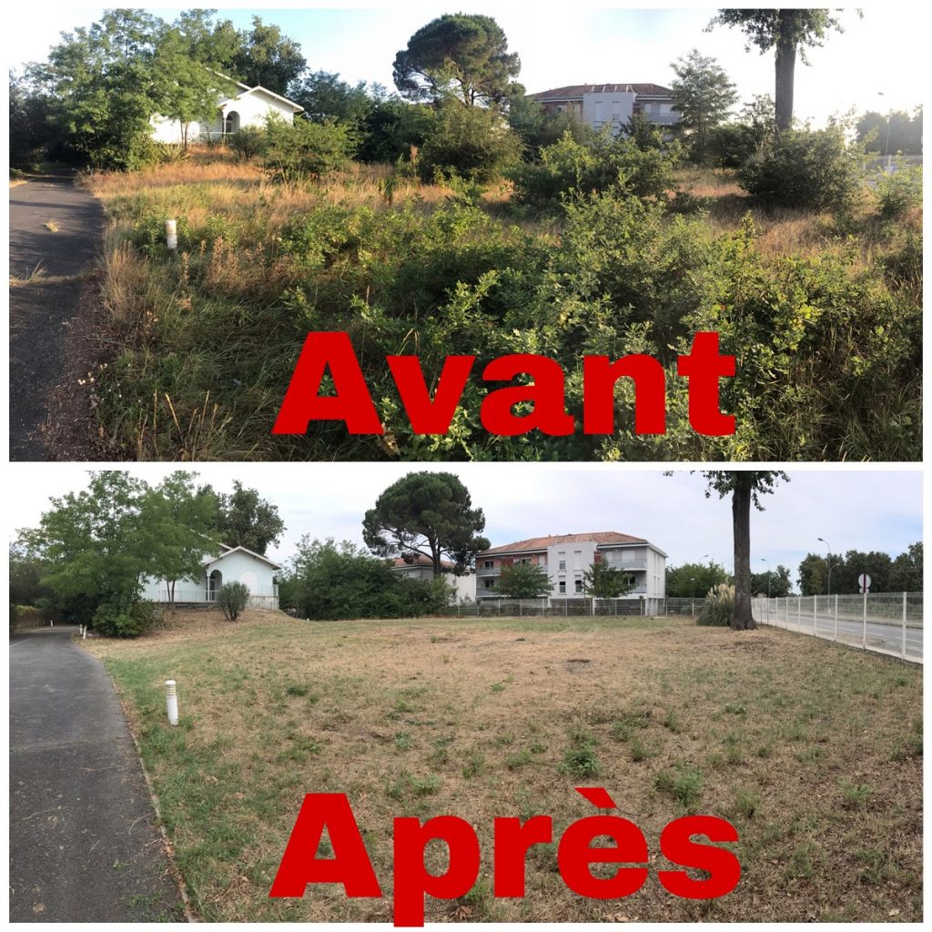 Entreprise Alphamultiservices: Débroussaillage de jardin à Villenave d'Ornon 33140