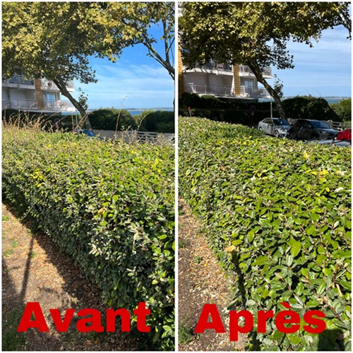 Alphamultiservices-Entreprise-taille-haie-Arcachon