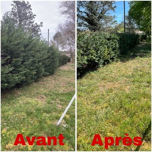 Alphamultiservices-Entreprise-rabbatage-haie-Salles